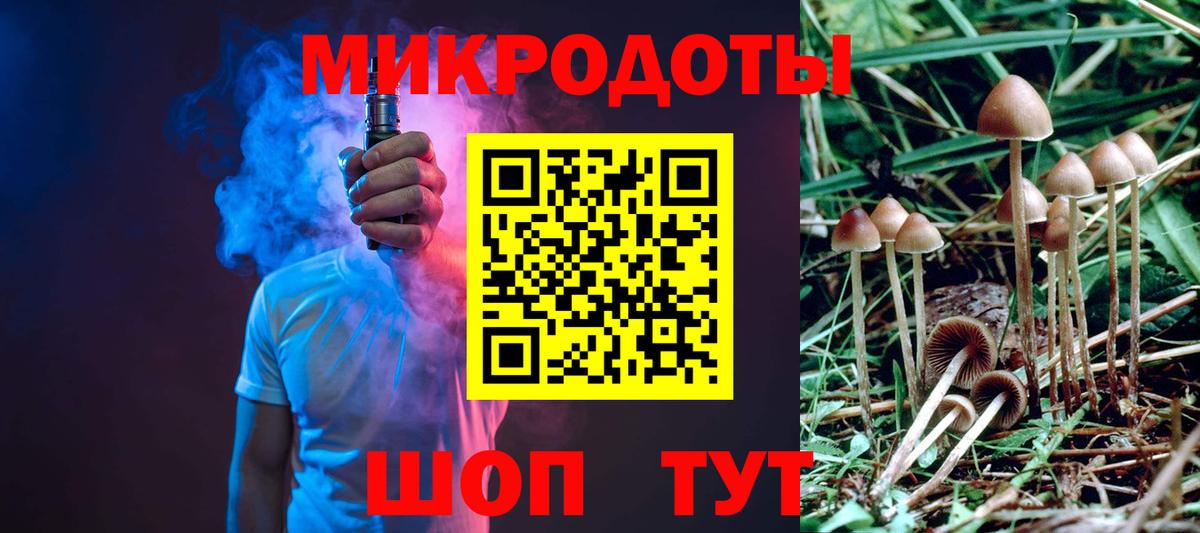 Нальчик  Галлюциногенные грибы Psilocybe  Вход с VPN 