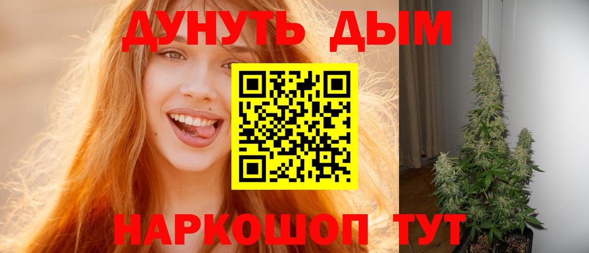 МАРИХУАНА сатива Нальчик
